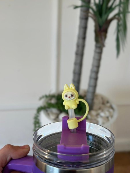 جلدة اكسسوار للكاسات لابوبو (طقم 10 قطع)